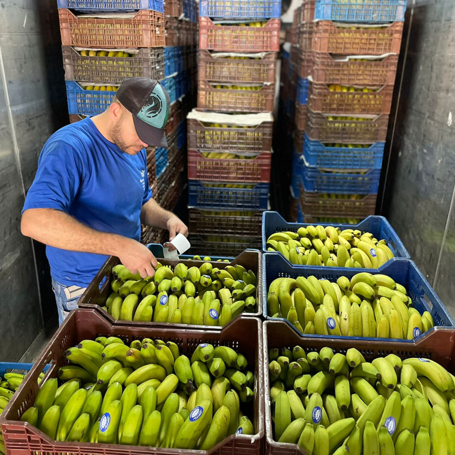 centro de distribuição 1