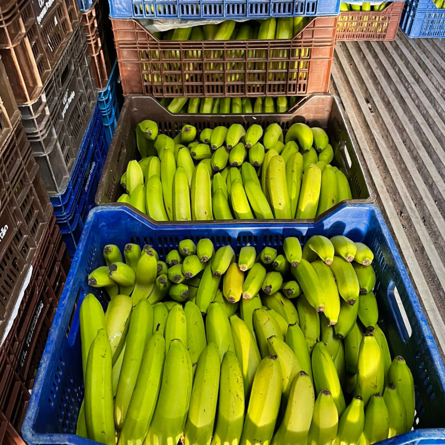 centro de distribuição 2