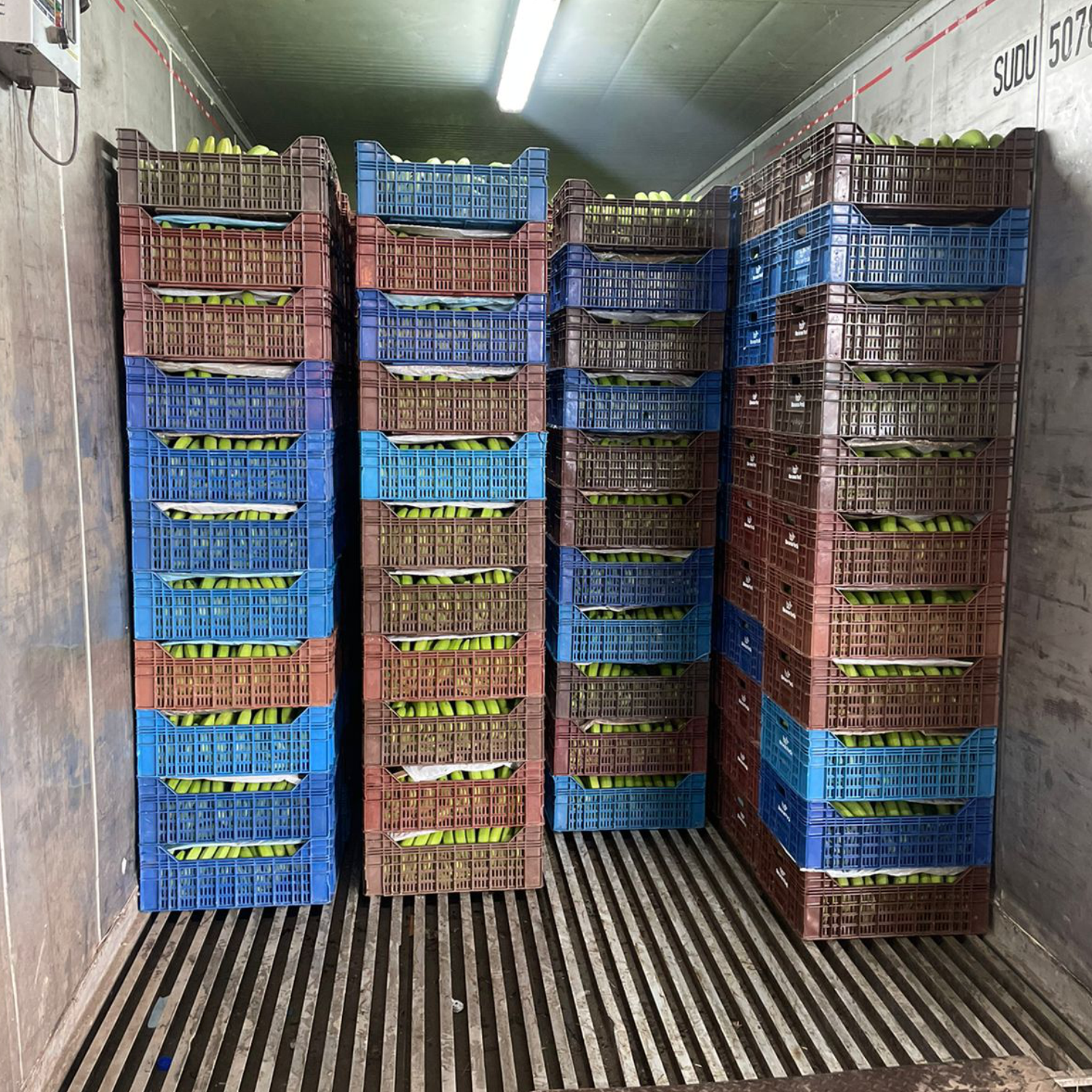 centro de distribuição 3