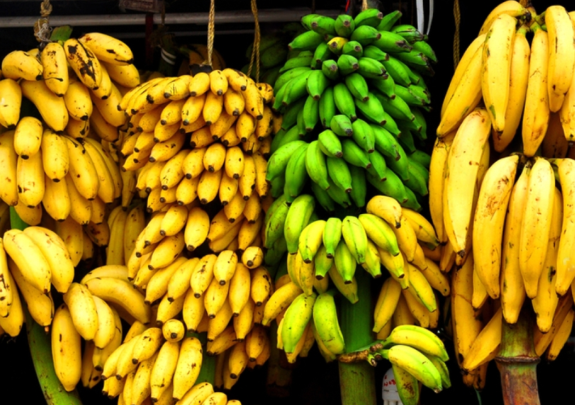quais-os-principais-tipos-de-banana-bananas-port-o-distribuidora-de